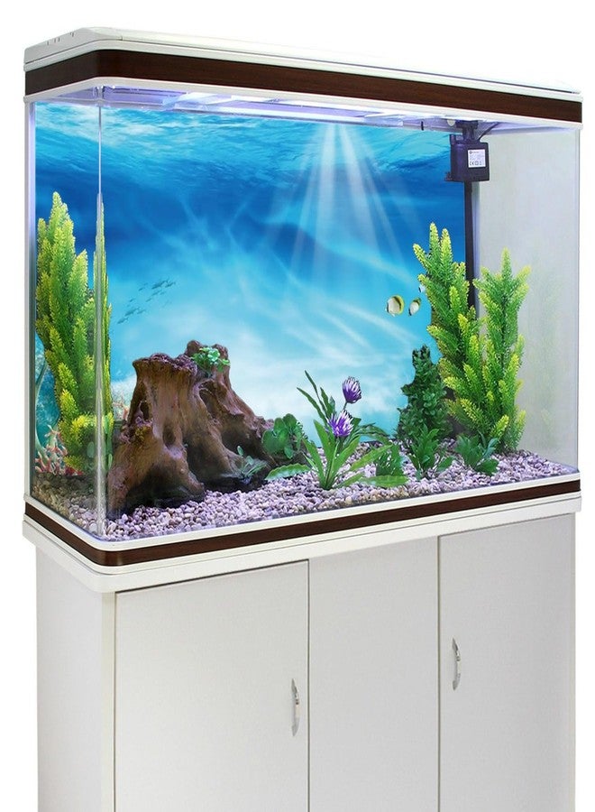 AWERT Undersea Theme Aquarium Background Colorful Coral Tropical Fish Sunshine Underwater World Fish Tank Background 36x18 inches Durable Polyester Background - Image 3